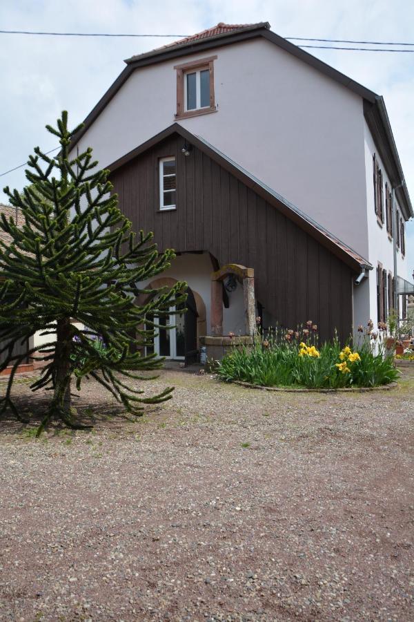 Ferme Les Iris Daire Issenheim Dış mekan fotoğraf